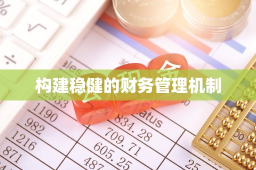 坦洲构建稳健的财务管理机制