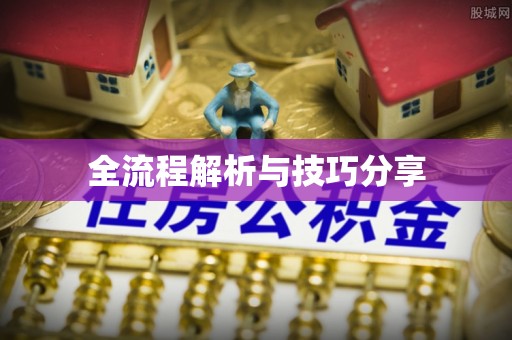 坦洲全流程解析与技巧分享
